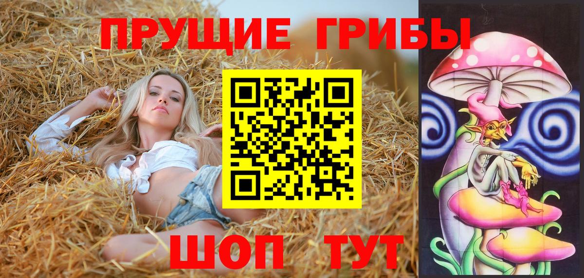 Лениногорск  Псилоцибиновые грибы Psilocybine cubensis  Вход с VPN 